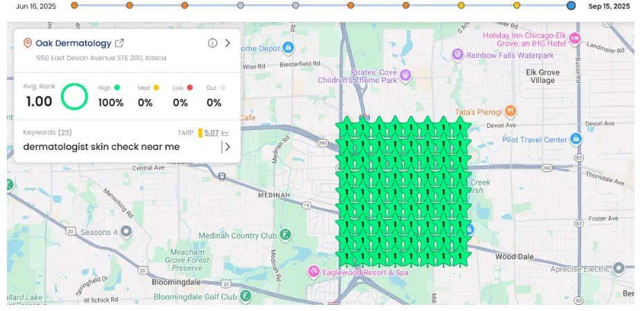 Local Falcon map pack ranking tracking for GBP optimisation